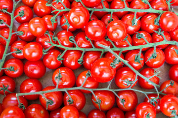 Background of vine tomatoes