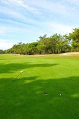Fototapeta na wymiar Golf course, green