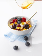 Yogurt with fresh Fruit and Granola