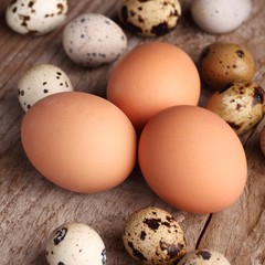 Close-up of quail and chicken eggs on wooden background.