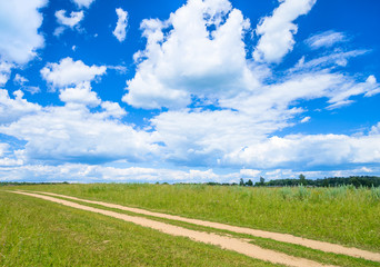 dirt road in a field