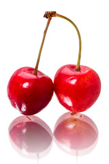 Two cherries on white