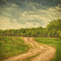 Obraz premium green field and blue sky