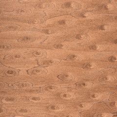 Wooden texture background
