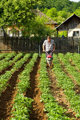 Farmer using small machine to increase work productivity in his farm