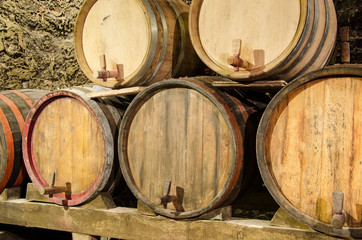 Wooden wine barrels in an underground cellar