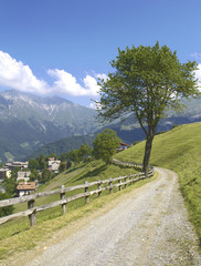 Fototapeta na wymiar Alpine path