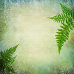 Vintage background with fern leaves