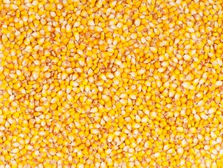 Raw corn