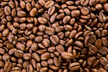 beans of  coffee