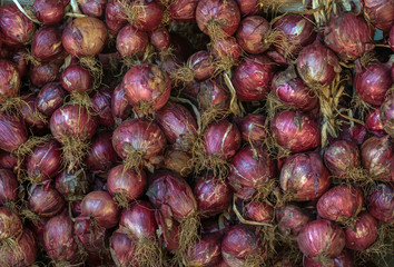 red onion 2