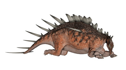 Kentrosaurus dinosaur resting - 3D render