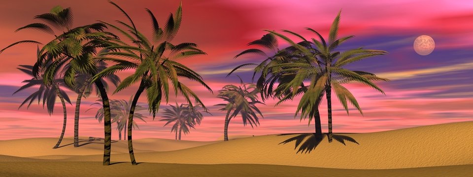 Tropical sunset - 3D render