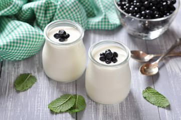 yogurt with fresh blueberry