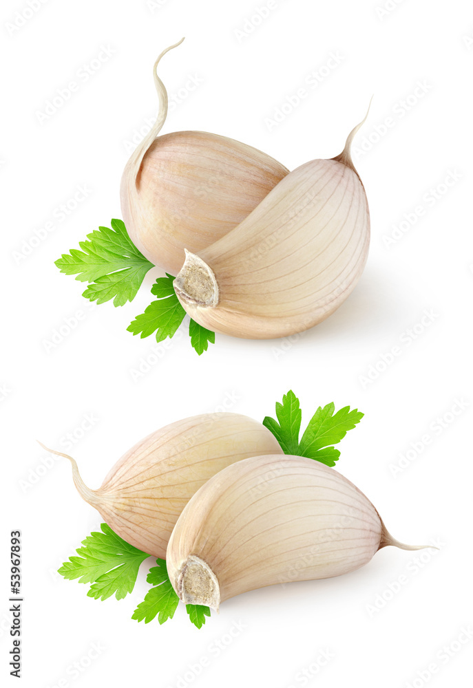 Poster isolated garlic. two images of garlic segments with parsley leaf isolated on white background