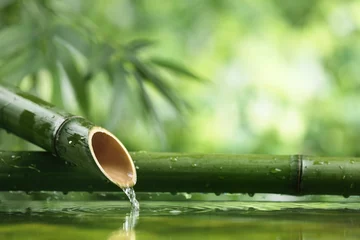 Stickers pour porte Salle de bain Fontaine en bambou naturel