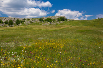 green mountain pasture