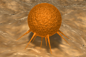 Cancer cell .