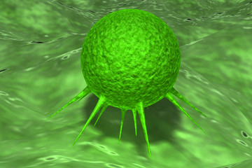 Cancer cell .