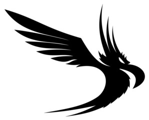 Black bird.