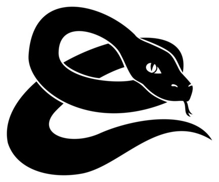 Black snake.