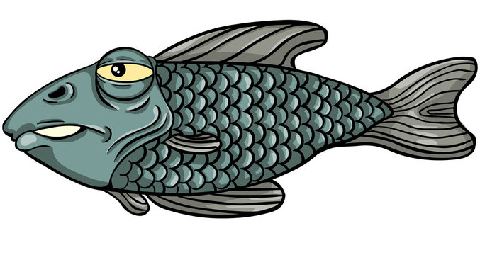 vector character - grumpy fish