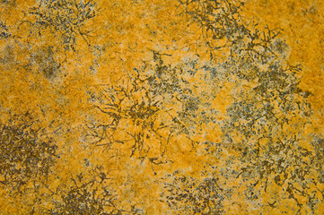 The crack on cement ground