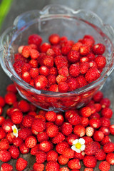 wild strawberries on wooden surface