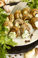 Snail vine with dill and parsley.