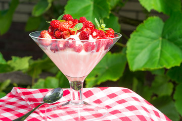  Woodland strawberry with whipped cream