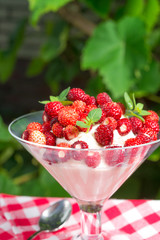  Woodland strawberry with whipped cream
