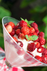  Woodland strawberry with whipped cream