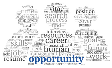 Opportunity concept in word cloud