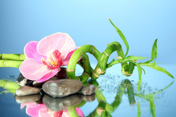 Still life with green bamboo plant, orchid and stones,