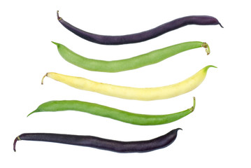 Purple, green and yellow Wax Snap Beans