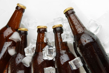 Beer bottles in ice cubes close up