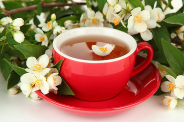 Cup of tea with jasmine, isolated on white