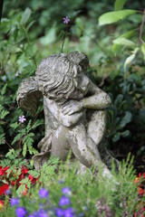 Obraz premium Ruhender Engel zwischen Blumen