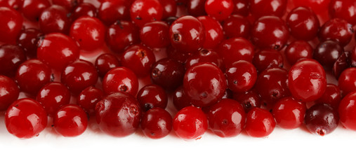 Ripe red cranberries, isolated on white.