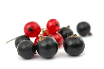 black and red currant isolated