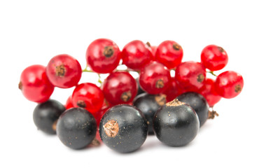 black and red currant isolated