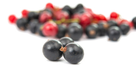 black and red currant isolated