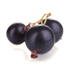 Fresh black currant isolated on white