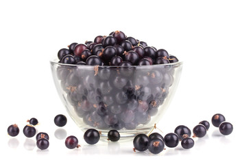 Fresh black currant isolated on white