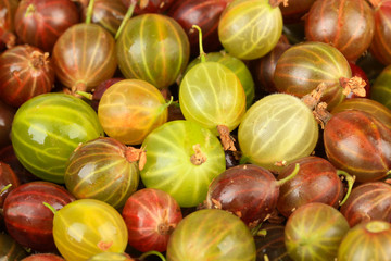 Fresh gooseberries isolated on white