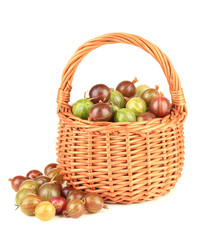 Fresh gooseberries in wicker basket isolated on white