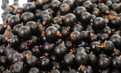 Heap of black currant.