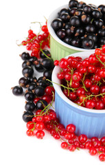 Red and black currant in bowls isolated on white