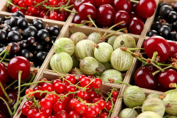 Different summer berries in wooden crate, close up