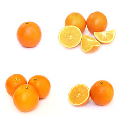 Set of oranges on white background